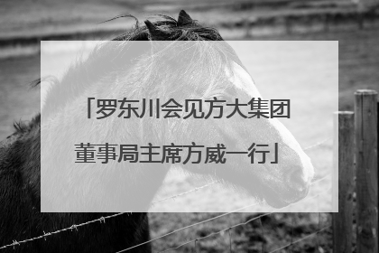 罗东川会见方大集团董事局主席方威一行