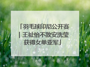 羽毛球印尼公开赛｜王祉怡不敌安洗莹 获得女单亚军