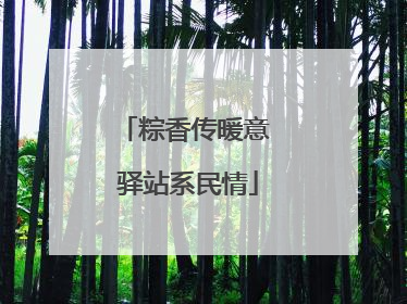 粽香传暖意 驿站系民情