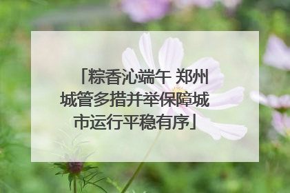 粽香沁端午 郑州城管多措并举保障城市运行平稳有序