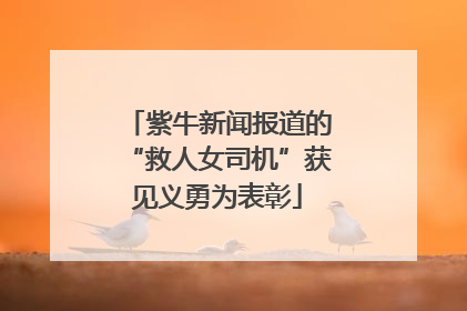 紫牛新闻报道的“救人女司机”获见义勇为表彰