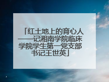 红土地上的育心人——记湘南学院临床学院学生第一党支部书记王世英