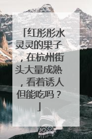 红彤彤水灵灵的果子，在杭州街头大量成熟，看着诱人但能吃吗？