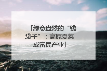 绿意盎然的“钱袋子”：高原夏菜成富民产业