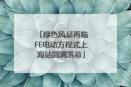 绿色风暴再临 FE电动方程式上海站圆满落幕