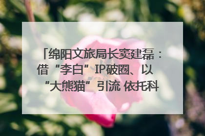 绵阳文旅局长窦建磊：借“李白”IP破圈、以“大熊猫”引流 依托科技优势绽放城市文旅魅力｜文旅局长说