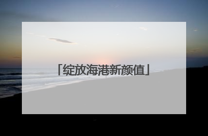 绽放海港新颜值