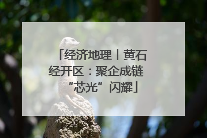 经济地理丨黄石经开区：聚企成链“芯光”闪耀