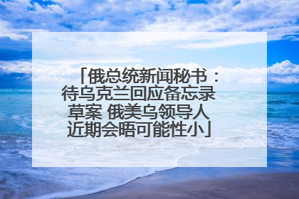 俄总统新闻秘书：待乌克兰回应备忘录草案 俄美乌领导人近期会晤可能性小