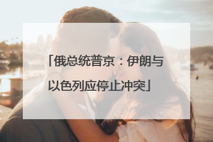 俄总统普京：伊朗与以色列应停止冲突
