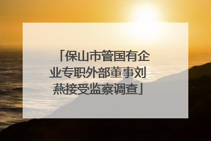 保山市管国有企业专职外部董事刘燕接受监察调查