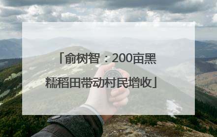 俞树智：200亩黑糯稻田带动村民增收