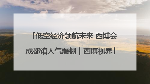 低空经济领航未来 西博会成都馆人气爆棚｜西博视界