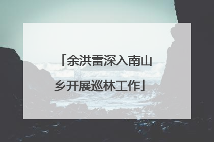 余洪雷深入南山乡开展巡林工作