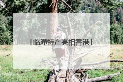 临潼特产亮相香港