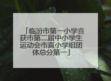 临汾市第一小学喜获市第二届中小学生运动会市直小学组团体总分第一