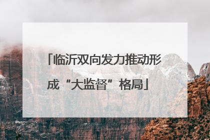 临沂双向发力推动形成“大监督”格局