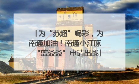 为“苏超”喝彩，为南通加油！南通小江豚“蓝叒叒”申请出战