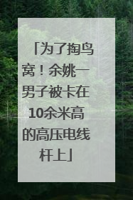 为了掏鸟窝！余姚一男子被卡在10余米高的高压电线杆上