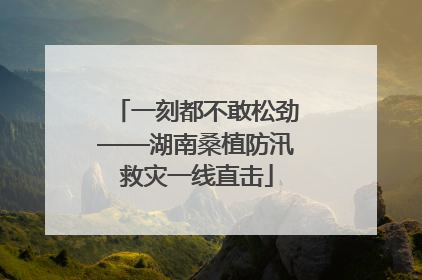 一刻都不敢松劲——湖南桑植防汛救灾一线直击