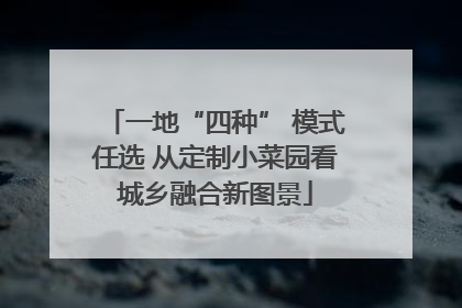 一地“四种” 模式任选 从定制小菜园看城乡融合新图景