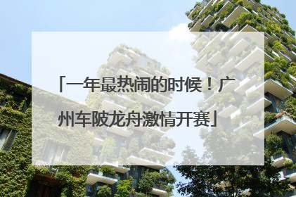 一年最热闹的时候！广州车陂龙舟激情开赛