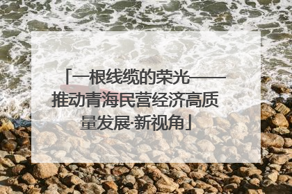 一根线缆的荣光——推动青海民营经济高质量发展·新视角