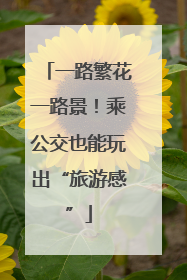 一路繁花一路景！乘公交也能玩出“旅游感”