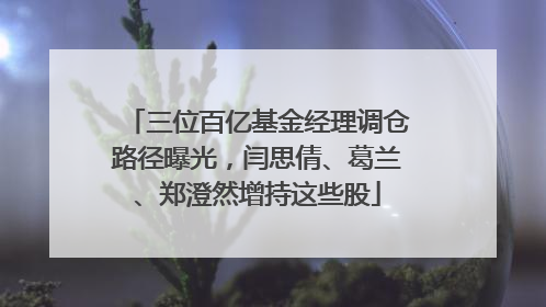 三位百亿基金经理调仓路径曝光,闫思倩、葛兰、郑澄然增持这些股