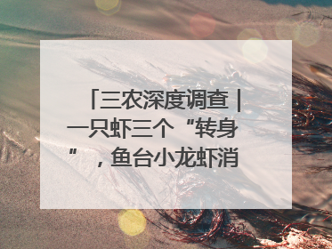 三农深度调查｜一只虾三个“转身”，鱼台小龙虾消费季升级