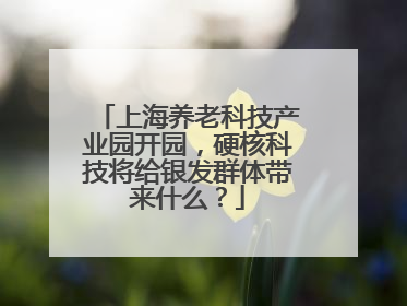 上海养老科技产业园开园，硬核科技将给银发群体带来什么？