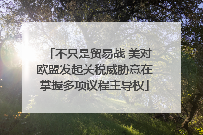 不只是贸易战 美对欧盟发起关税威胁意在掌握多项议程主导权