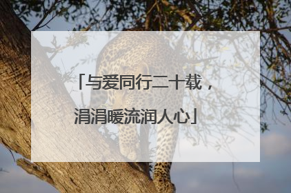 与爱同行二十载，涓涓暖流润人心
