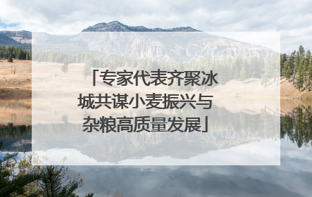 专家代表齐聚冰城共谋小麦振兴与杂粮高质量发展