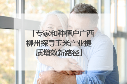 专家和种植户广西柳州探寻玉米产业提质增效新路径