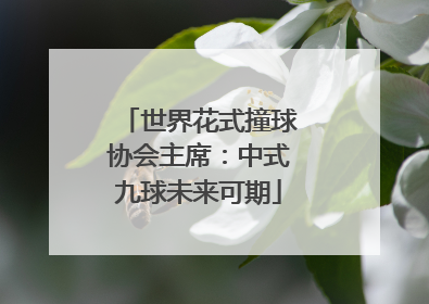 世界花式撞球协会主席：中式九球未来可期