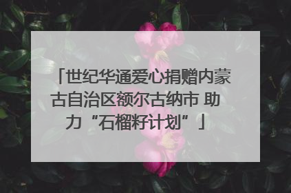 世纪华通爱心捐赠内蒙古自治区额尔古纳市 助力“石榴籽计划”