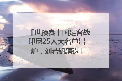 世预赛｜国足客战印尼25人大名单出炉，刘若钒落选
