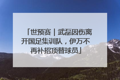 世预赛｜武磊因伤离开国足集训队，伊万不再补招顶替球员