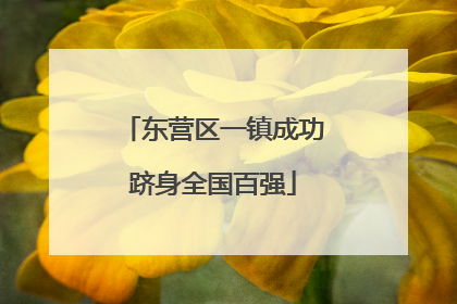 东营区一镇成功跻身全国百强