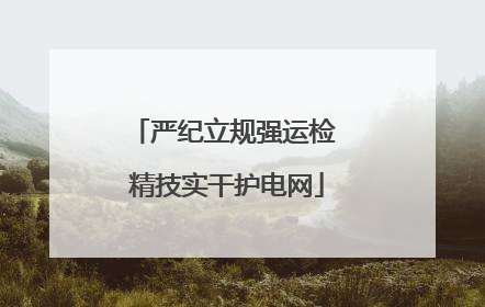 严纪立规强运检 精技实干护电网