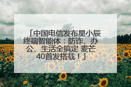 中国电信发布星小辰终端智能体：防诈、办公、生活全搞定 麦芒40首发搭载！