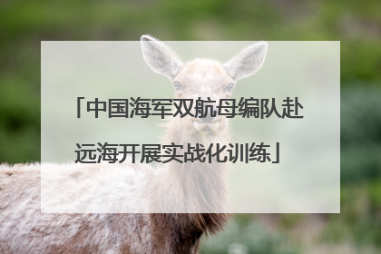 中国海军双航母编队赴远海开展实战化训练