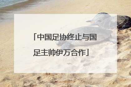 中国足协终止与国足主帅伊万合作