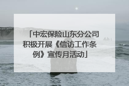 中宏保险山东分公司积极开展《信访工作条例》宣传月活动