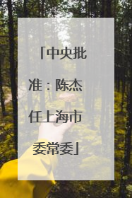 中央批准：陈杰任上海市委常委