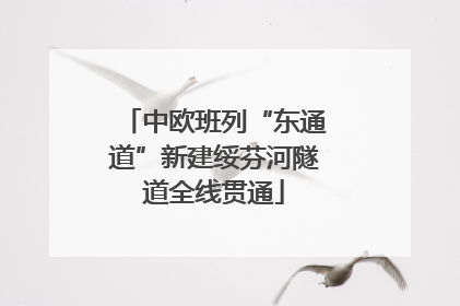 中欧班列“东通道”新建绥芬河隧道全线贯通