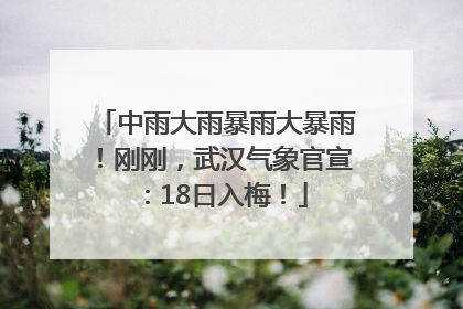 中雨大雨暴雨大暴雨！刚刚，武汉气象官宣：18日入梅！