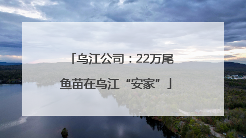 乌江公司：22万尾鱼苗在乌江“安家”
