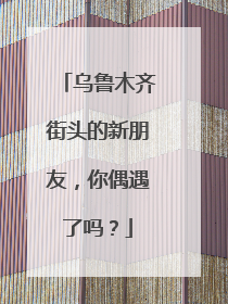 乌鲁木齐街头的新朋友，你偶遇了吗？